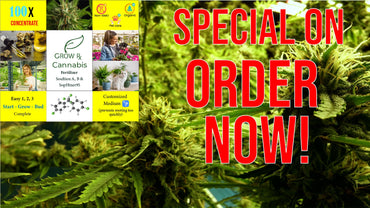 Grow your own cannabis with our revolutionary Cannabis Growing Kit!