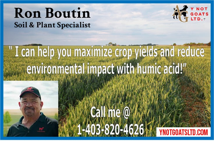 Maximizing Crop Yields and Reducing Environmental Impact with Humic Acid