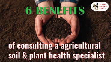 Did you know these 6 benefits of connecting with a soil & plant health agriculture specialist?