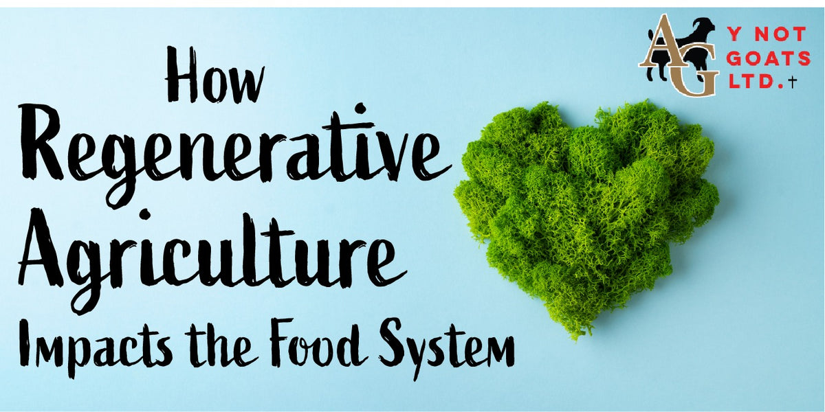 Regenerative agriculture has been making waves in the farming