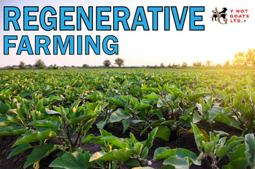 Regenerative Agriculture Tips
