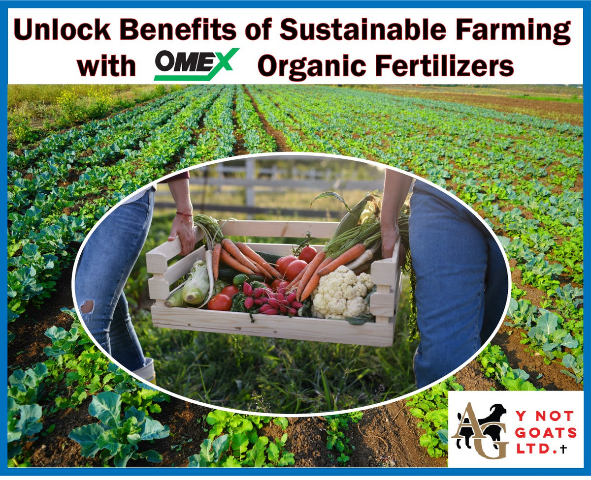 Organic fertilizers are a natural and sustainable way of providing essential nutrients for plants