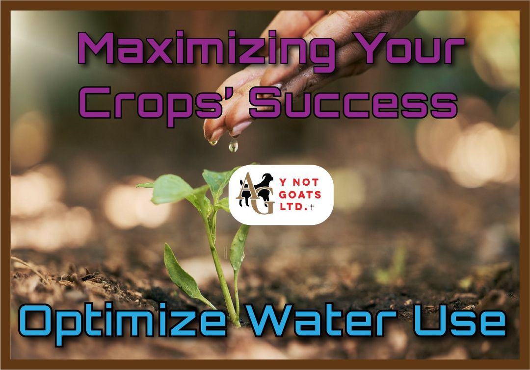 Maximizing your crops' Success - Optimize Water Use